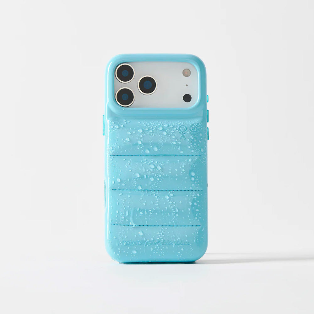 THE PUFFER CASE (ENDLESS SKY)